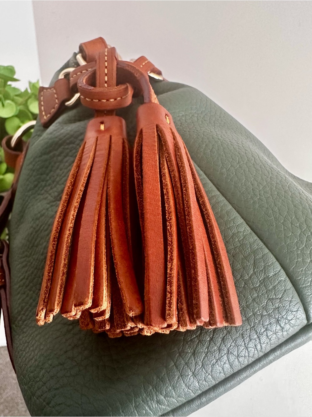 Dooney & Bourke Bristol Satchel in Ivy Green - Picture 7 of 16
